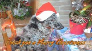 kerstwensen 2010mp4 [upl. by Ariahaj]