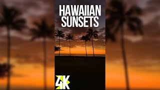 Amazing Ocean Views at the Sunset for Vertical Screens  4K Stunning Scenes of Oahu Island Hawaii [upl. by Markowitz316]