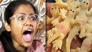 Chipkali Prank on Riya Gone wrong 😨 [upl. by Egas]