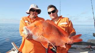 Centurion fishing charter with Reefari mothershipping the Great Barrier Reef Day 1 [upl. by Pellegrini814]