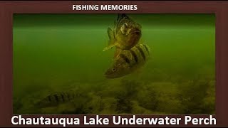 Chautauqua Lake NY  Underwater Perch Footage [upl. by Gonta]