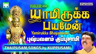 யாமிருக்க பயமேன்  தைப்பூசம் முருகன் பாடல்  புஷ்பவனம் குப்புசாமி  Murugan devotional Songs [upl. by Serra]