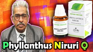 Golden Homeopathy Remedy  Phyllanthus Niruri Q  Dr PS Tiwari [upl. by Yenar]