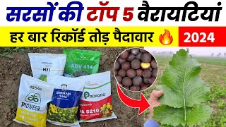 सरसों की टॉप 5 वैरायटियां 2024  सबसे अधिक पैदावार देने वाली किस्में  Sarso Ki Top 5 Variety 2024 [upl. by Ovida]