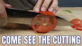 2024 BEST BUDGET KIRITSUKE CHEF KNIFE UNDER 70 KANNGOU FULL KNIFE REVIEW [upl. by Alyt]