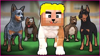 EFEKAN KÖPEK OLDU ÇETEYE KATILDI 😱  Minecraft [upl. by Tice742]