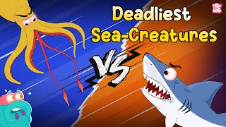 Deadliest Sea Creatures  Underwater Killers  Shark vs Giant Squid  The Dr Binocs Show [upl. by Ambrogio331]