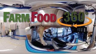 FarmFood360°  Voluntary Milking System Dairy Farm [upl. by Tris]