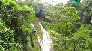 La Suntuosa Cascada Cabellos de Angel  En Breñon Chiriquí PANAMA [upl. by Yaniv]