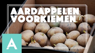 Aardappelen voorkiemen  Grow Cook Eat 4 [upl. by Rondon]