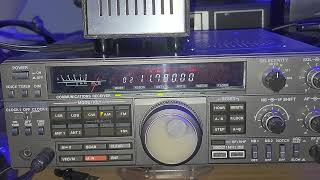 Taking out the Kenwood R5000 Vintage receiver for a spin Radio Nacional do Amazona 11780 Shortwave [upl. by Onitnevuj]