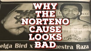 SUBSCRIBER ASKED ME WHY I TALK DOWN ON NORTENO POLITICSHOW I FEEL ABOUT THE NORTENO STRUGGLE😳 [upl. by Natam]