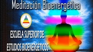 Meditación Bioenergética CharlaTaller 1ªparte [upl. by Odnarb781]