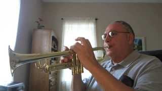 SWEET HOME CHICAGO  BLUES BROTHERS  MY TRUMPET VERSION [upl. by Rhu]