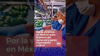 Por la violencia en México sube el precio del aguacate y paran exportación a EEUU [upl. by Okimuy16]