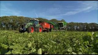 Krampe Bandit 980 bei der Kartoffelernte mit AVR Puma und Fendt 936 Vario [upl. by Cyprian]