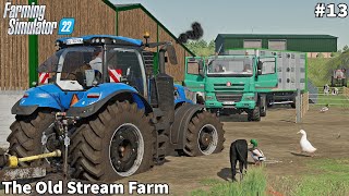 Farm Extension New Shed amp CowPen Sowing Barley amp Mowing Grass│The Old Stream│FS 22│Timelapse13 [upl. by Bael33]