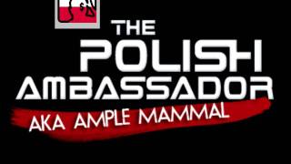 Tama Mali  Snimbe The Polish Ambassador Remix HQ [upl. by Suidaht]