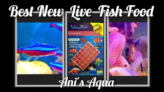 Best New Live Fish FoodVaquaria Bloodworms [upl. by Aenaj241]