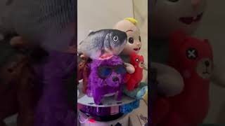 Playing is Fun Musical Toys Dolls Games trending amazingtoys viralvideo shortvideo funnyshorts [upl. by Anavoj217]