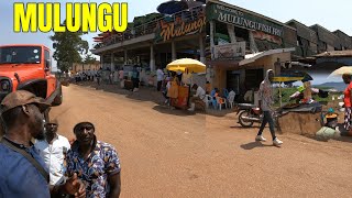 MULUNGU LANDING SITE A FRESH FRIED FISH MARKET IN MUNYONYO KAMPALA UGANDA [upl. by Neersan879]