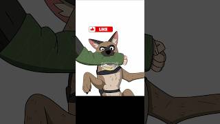 Pixie And Brutuss Life  Guess which one is correct viral art dog cat shorts [upl. by Alakim]