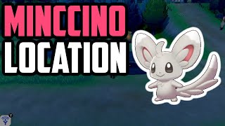 Where to Find Minccino  Pokemon Sword amp Shield [upl. by Oilerua]