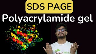 SDS PAGE gel electrophoresis  sds page principle explained  poly acrylamide gel electrophoresis [upl. by Volotta329]