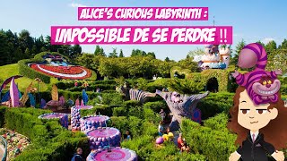 LE LABYRINTHE DALICE  ATTRACTION LA PLUS SOUSCOTEE   🎢 Face Cachée des Parcs [upl. by Hanfurd]