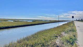 This Galveston roadside waterway was LOADED with big fish S7 E28 [upl. by Beaston]