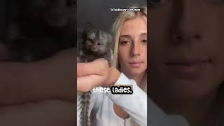 Exploring the Worlds Tiniest Marmoset Monkeys [upl. by Reo]