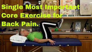 Single Most Important Core Exercise For Back Pain [upl. by Aland]