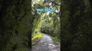 Beautiful View of West Bengal Forest status northbengal westbengaltourism jalpaiguri bengali [upl. by Rieger]