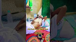 Data Teri Datar 🌹 Tere Naam Di Bhukh Data Ji 🌹shorts bapudesrajji shortvideos shortsviral short [upl. by Nancie871]