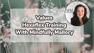 Hexaflex Training  Values Pillar [upl. by Peltz]