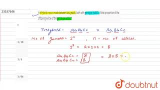 A trihybrid cross is made between two yeasts both with genotypes AsBbCc What p [upl. by Nanahs]