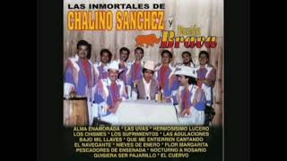 Chalino Sanchez y La Banda Braba  Disco Completo [upl. by Adali106]