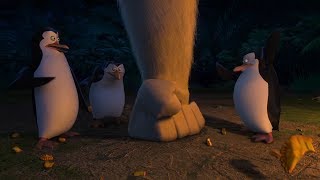 DreamWorks Madagascar  Thats What Im talking About  Penguins of Madagascar Clip [upl. by Obaza]