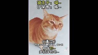 cute orange tabby cat sings a Chinese song very adorable 🥰🥰🥰 ft cloud119112 tik tok [upl. by Rinum]