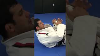 O Domínio Do JiuJitsu Amasse Passe E Finalize Com Rodolfo Vieira [upl. by Maiocco813]