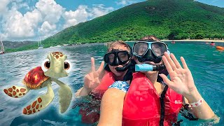 Snorkeling on Disney Fantasy Cruise  Animators Palate Animation Night Disney Cruise Vlog [upl. by Sakovich]