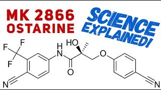 Ostarine Science Explained  Science Behind Ostarine  MK2866  SARMs  Enobosarm [upl. by Padriac549]