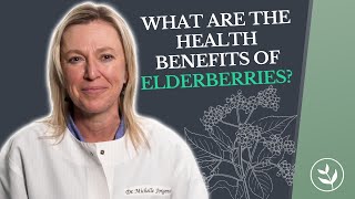 The Health Benefits Of Elderberries Immune Energy Sleep Healing And More [upl. by Ronel]