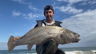 Mulloway fishing off the surf Perth beach WA [upl. by Nenerb]