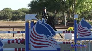 001S Taren Hoffos on Regalla CCI4 Short Show Jumping Twin Rivers Ranch Sept 2024 [upl. by Sulihpoeht]