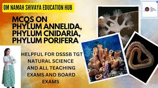 DSSSB TGT Natural Science 2024 Detailed MCQ Explanation of Phylum Porifera Cnidaria and Annelida [upl. by Nigrom]