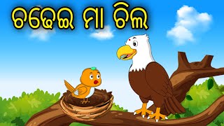 Chadhei Maa Chila Odia Cartoon Odia Bird Stories Odia Chadhei Gapa Odia Moral Story [upl. by Bilow]