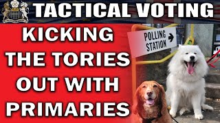 Maximizing Your Vote The South Devon Primary Strategy [upl. by Abita432]