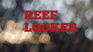 REEF LOOKER SEMI SUBMARINE DiaryOfDeepakArshitoppo RoshanAndDeepika vijayriyavlogs4906 [upl. by Huba]