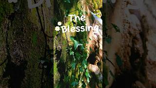 The Blessing  Elevation Worship theblessings sense schwarzenburg [upl. by Gardner]